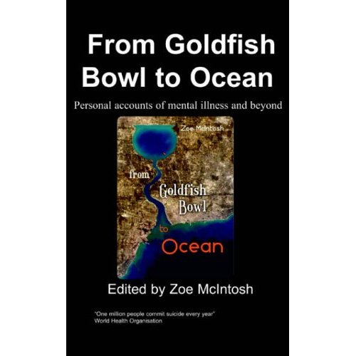 From Goldfish Bowl to Ocean [e-book]